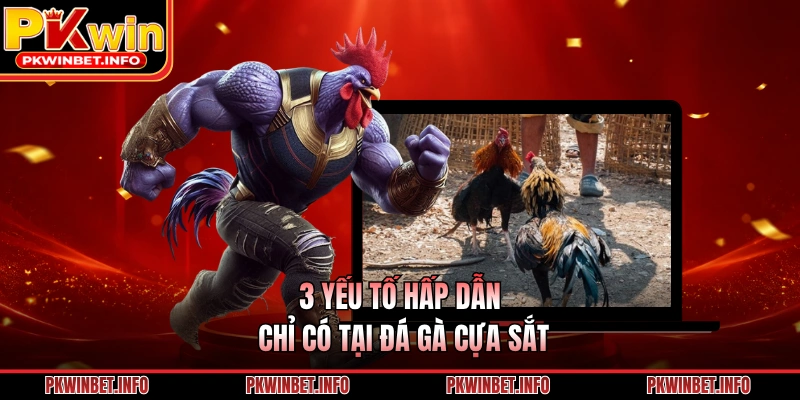3 yếu tố hấp dẫn chỉ có tại đá gà cựa sắt