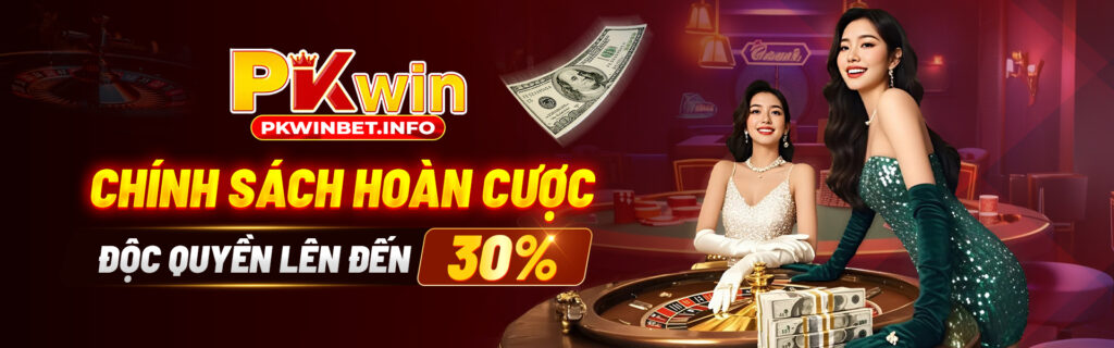 banner pkwin