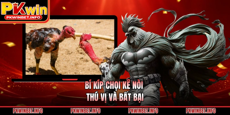 Bí kíp chọi kê nòi thú vị và bất bại