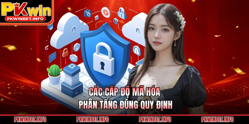 Các cấp độ mã hóa phân tầng đúng quy định