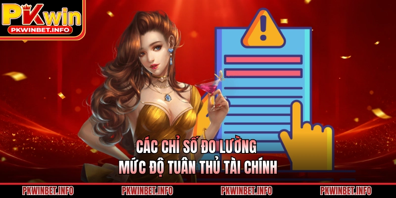 Các chỉ số đo lường mức độ tuân thủ tài chính
