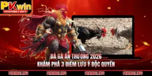 Đá Gà Ăn Thưởng 2026: Khám Phá 3 Điểm Lưu Ý Độc Quyền