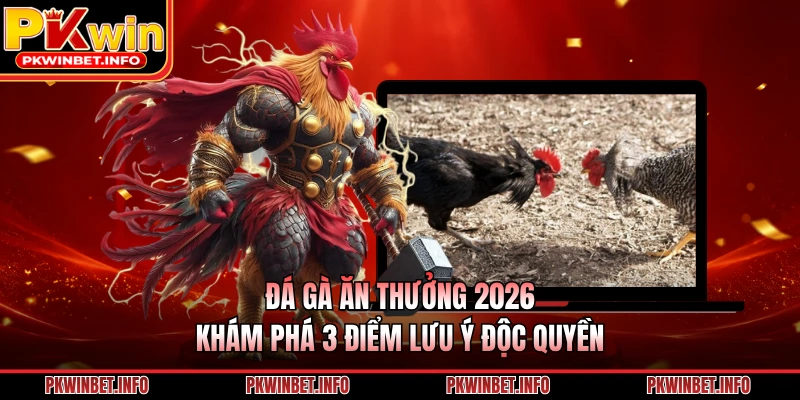 Đá Gà Ăn Thưởng 2026: Khám Phá 3 Điểm Lưu Ý Độc Quyền