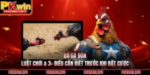 Đá Gà Đòn - Luật Chơi & 3+ Điều Cần Biết Trước Khi Đặt Cược