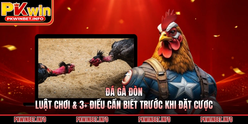 Đá Gà Đòn - Luật Chơi & 3+ Điều Cần Biết Trước Khi Đặt Cược