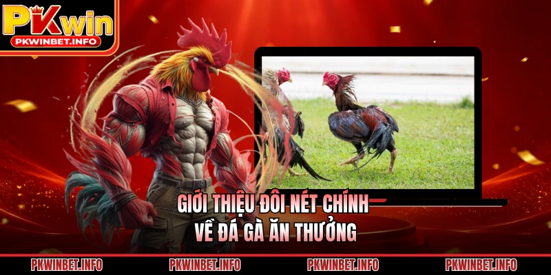 Giới thiệu đôi nét chính về đá gà ăn thưởng
