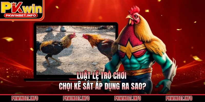 Luật lệ trò chơi chọi kê sắt áp dụng ra sao?