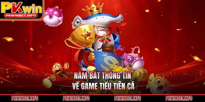 Nắm bắt thông tin về game Tiểu tiên cá
