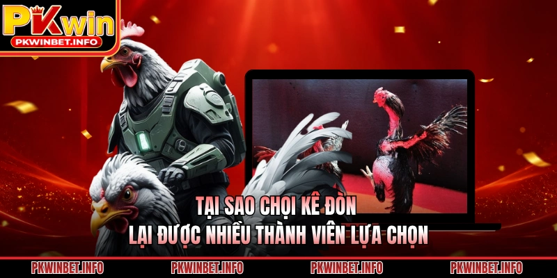 Tại sao chọi kê đòn lại được nhiều thành viên lựa chọn