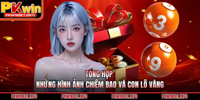 Tổng hợp những hình ảnh chiêm bao và con lô vàng